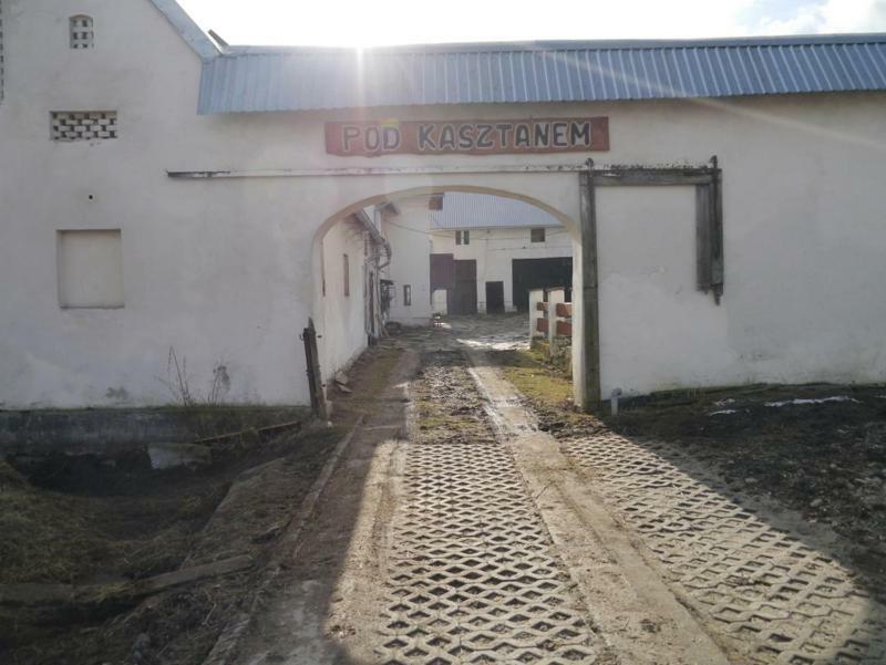 Pod Kasztanem Gospodarstwo Agroturystyczne Stronie Śląskie Exteriör bild